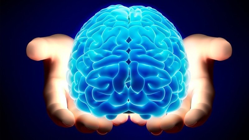 Мозг человека мутирует с возрастом