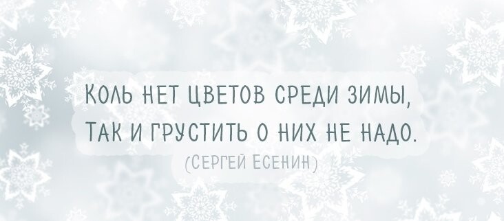 Афоризмы на тему зимы могут быть не только красивыми, но и веселыми!