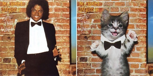 Художник создал очаровательные обложки музыкальных альбомов, заменив певцов на котиков