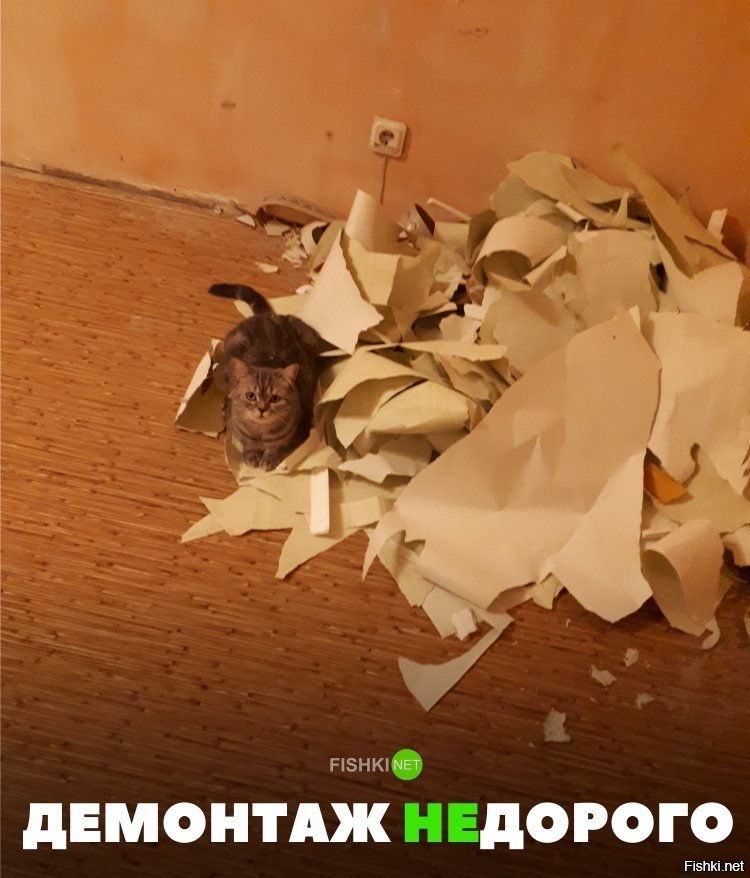 Демонтаж недорого