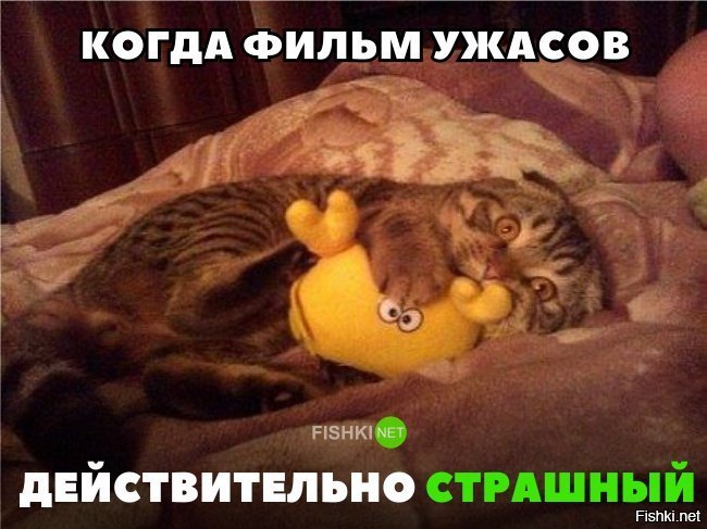 Когда действительно страшно