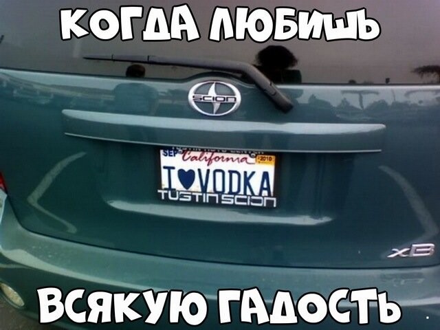 Автовсячина