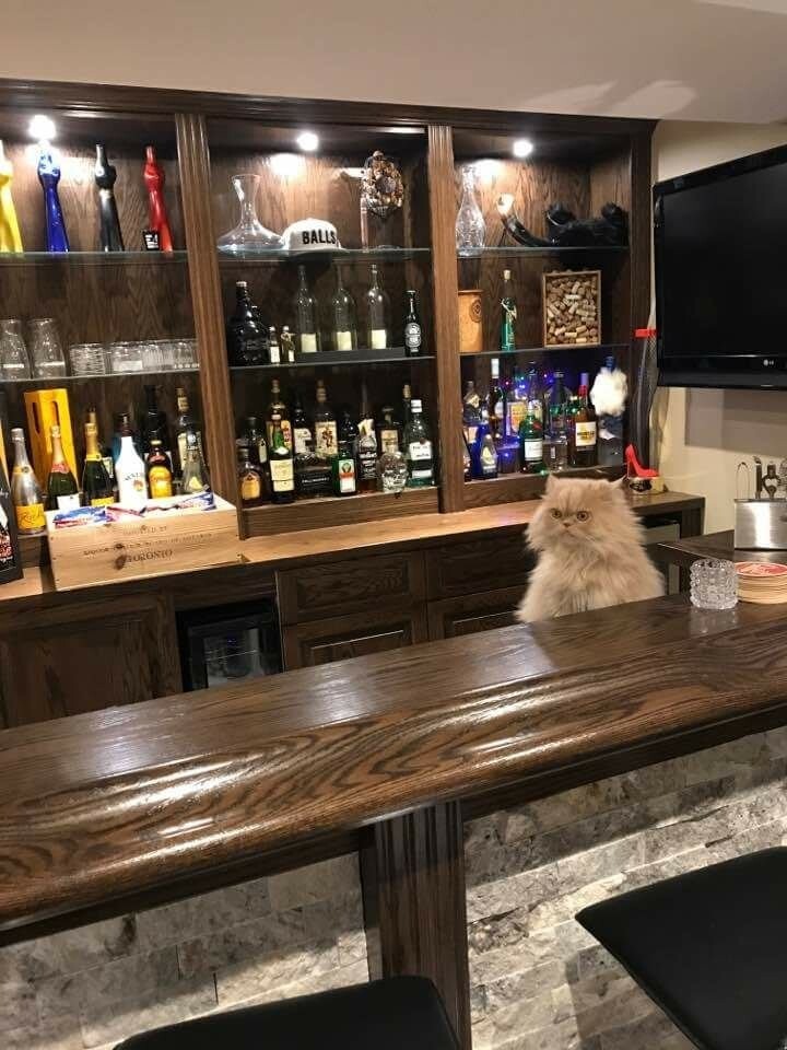 Новый бармен