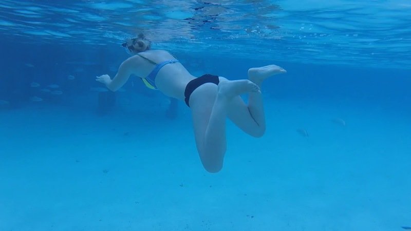 Акула укусила девушку за руку во время "безопасной" подводной экскурсии 