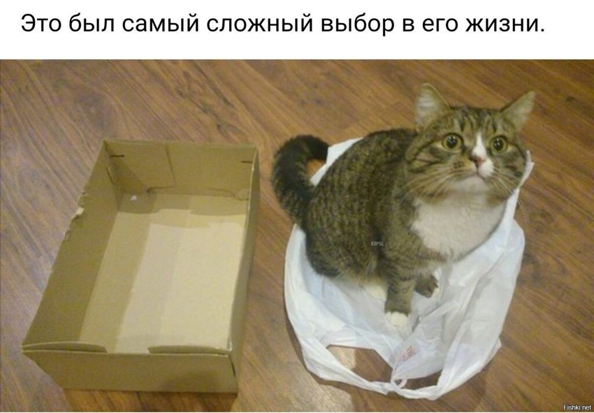 Самый сложный выбор