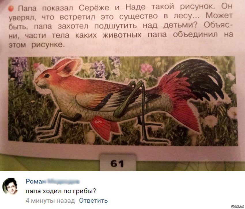 Папа ходил по грибы