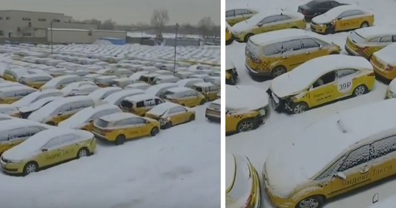 В Москве обнаружили кладбище желтых такси: видео