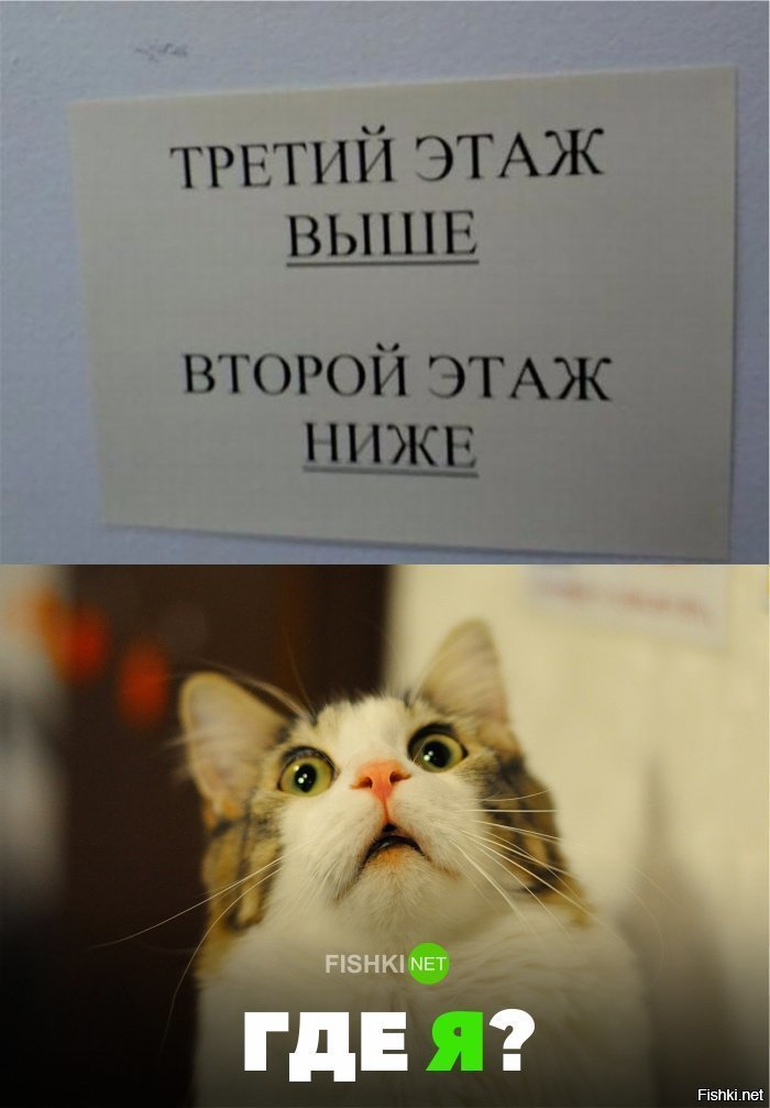 Как так-то?