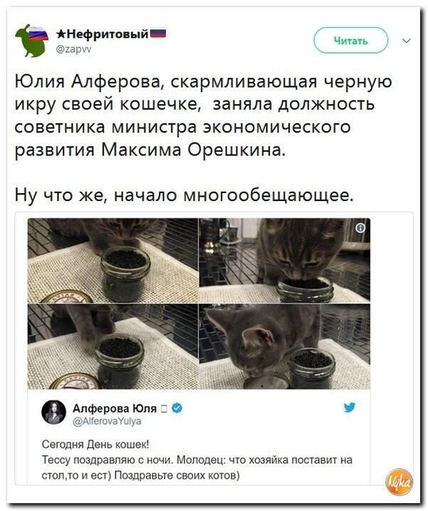 Политические коментарии соцсетей - 342