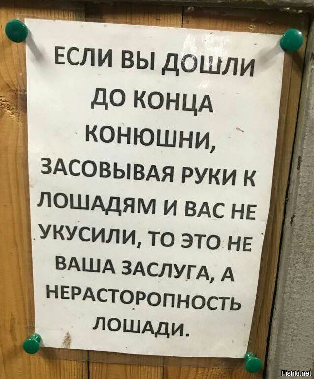 Нерасторопные лошади