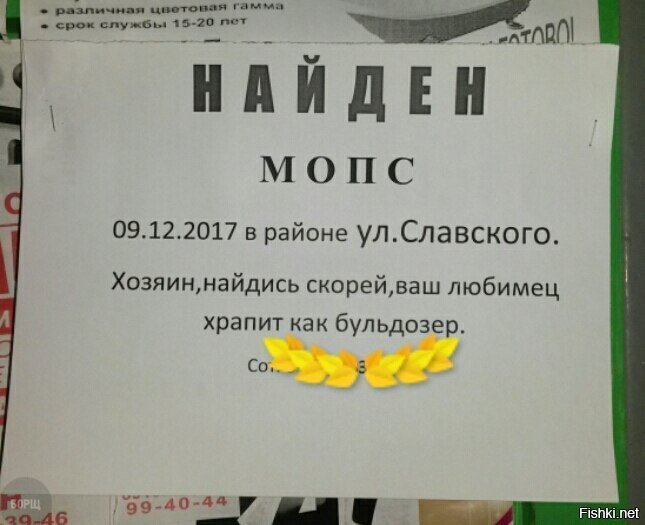 Вроде маленький, а храпит как слон