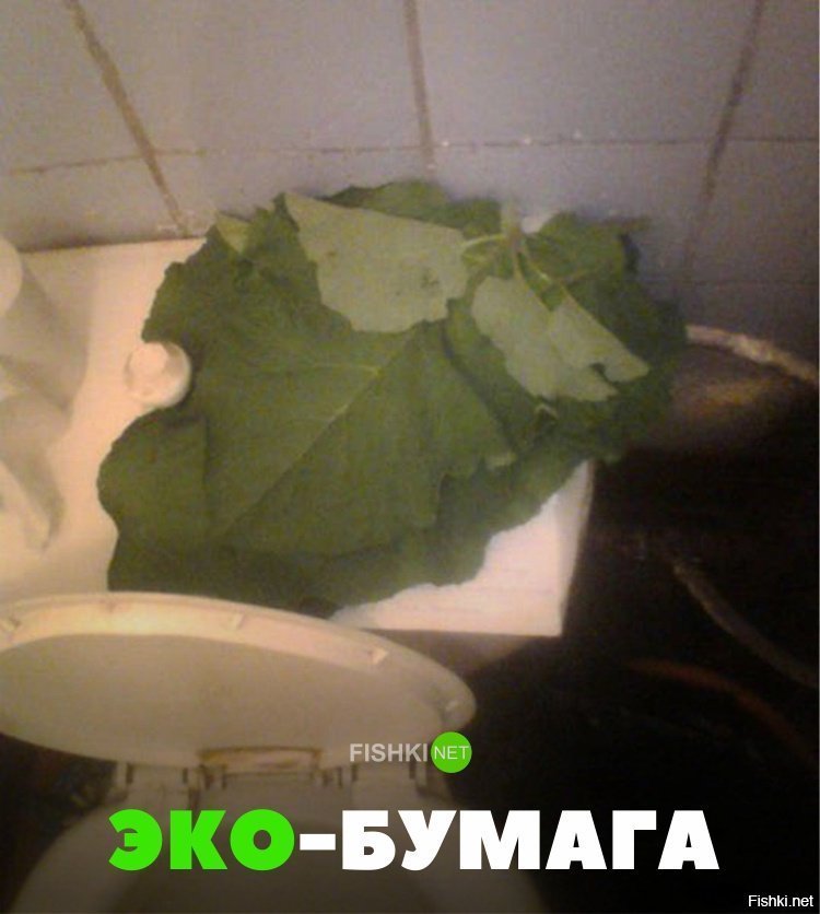 Эко-бумага