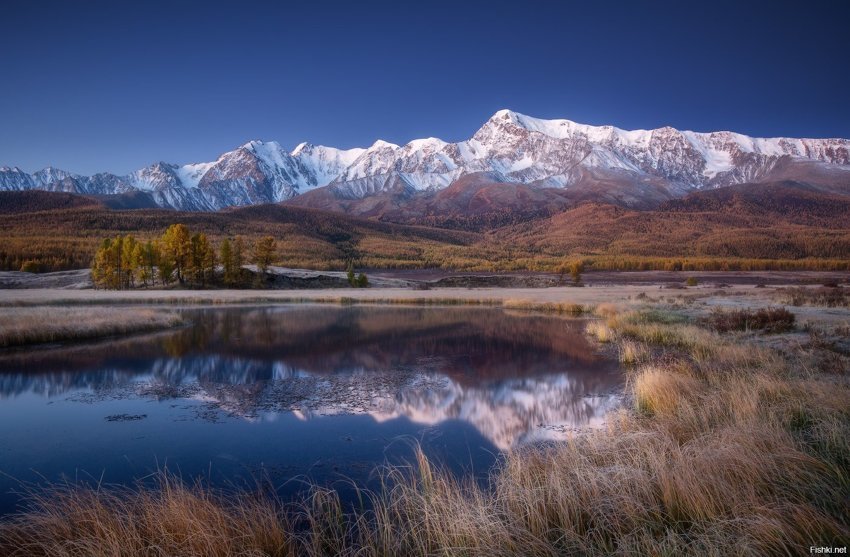 Алтай, озеро Джангысколь, гора Куркурек