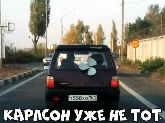 Автовсячина