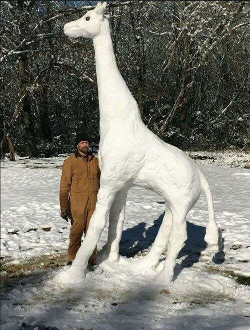 Снежный жираф