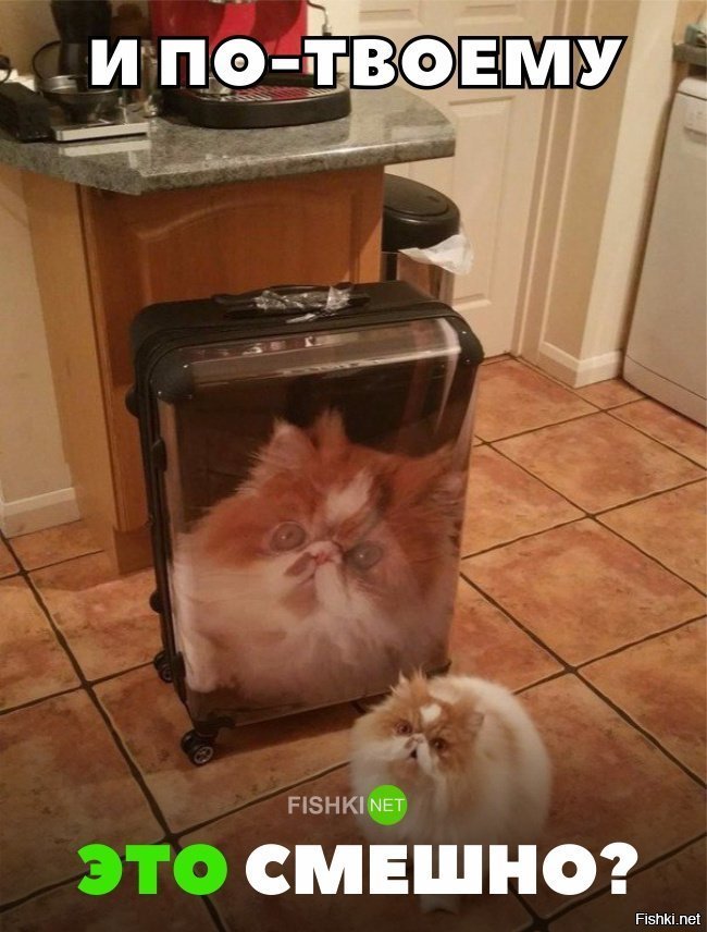 Думаете это смешно?