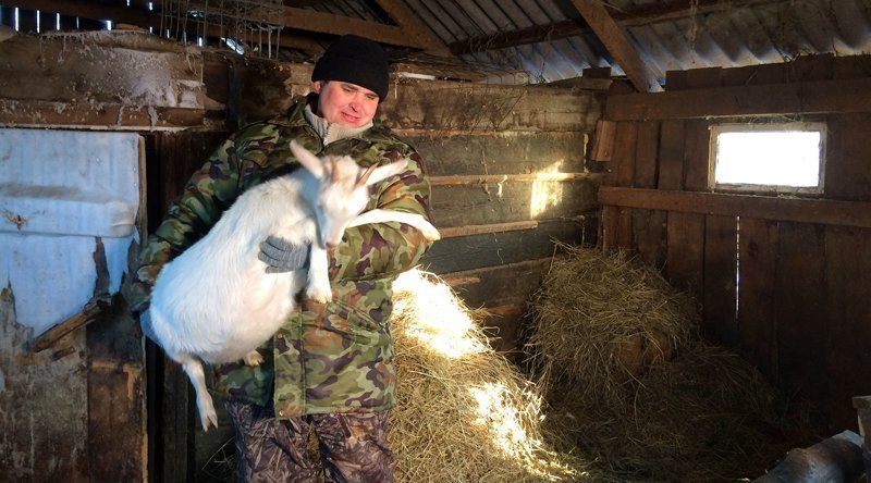 Фермер из Зауралья, выращивающий коз, решил бороться в суде против козлов