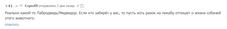 «Песемишка или медвебака?»: в сети обсуждают необычного пса из Челябинска