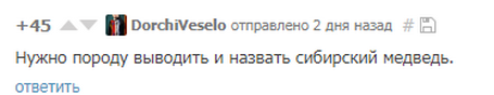 «Песемишка или медвебака?»: в сети обсуждают необычного пса из Челябинска