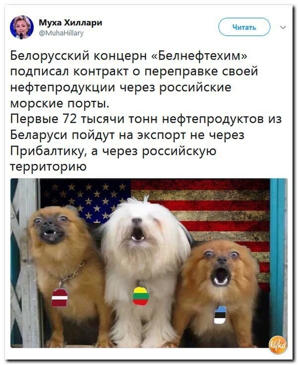 Политические коментарии соцсетей - 344