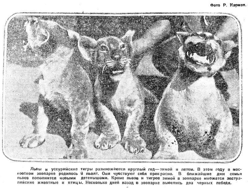 «Вечерняя Москва», 15 декабря 1932 г.
