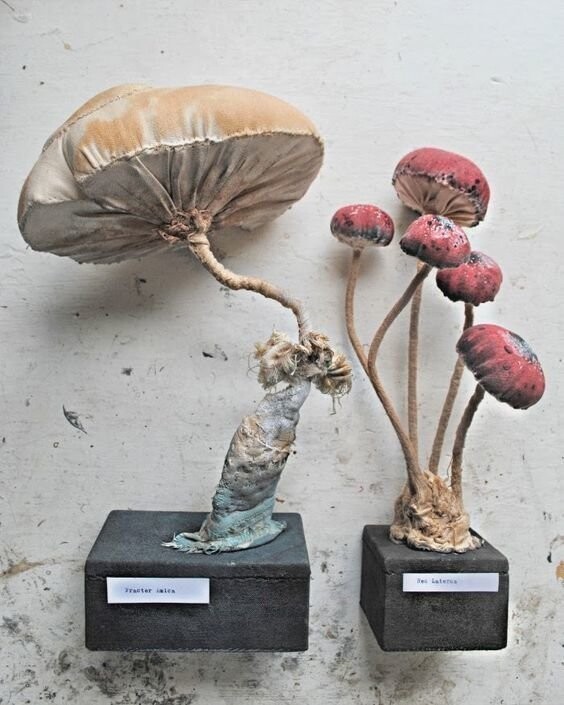 Кстати этот мастер делает не менее удивительные текстильные грибы и прочие растения