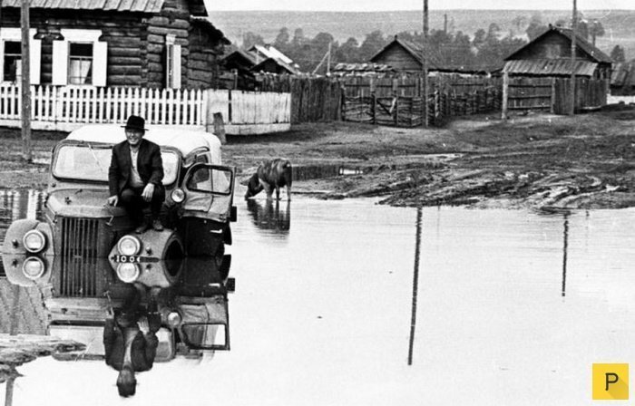 Политические коментарии соцсетей - 346
