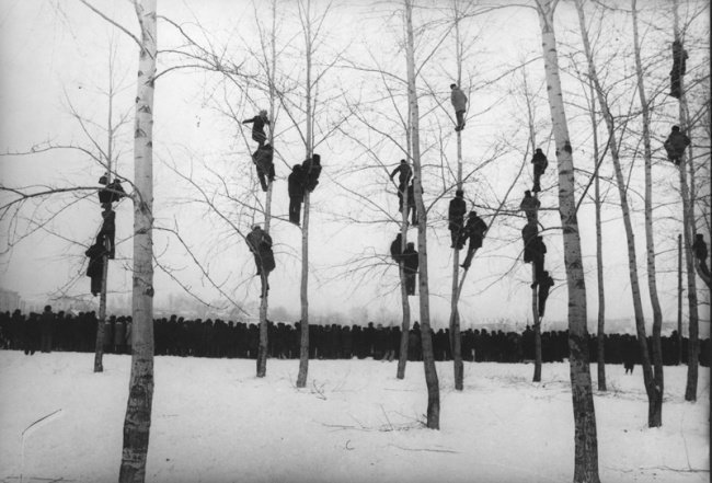 «Грачи прилетели», 1964 год. Фото: Микола Гнисюк.
