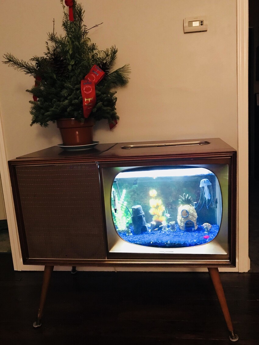 Аквариум в старом телевизоре
