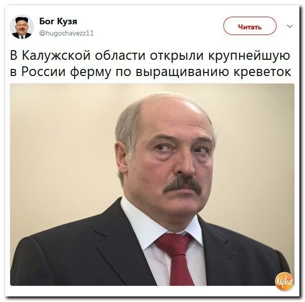 Политические коментарии соцсетей - 349