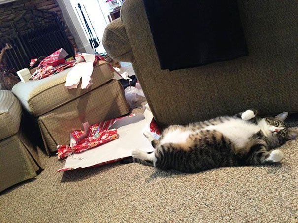 3. Кот открыл все рождественские подарки. А что, не надо было? А для чего они тогда?