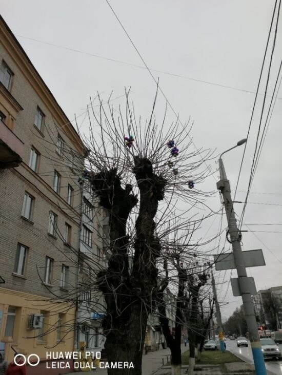 Бежицкий район Брянска украсили к Новому году