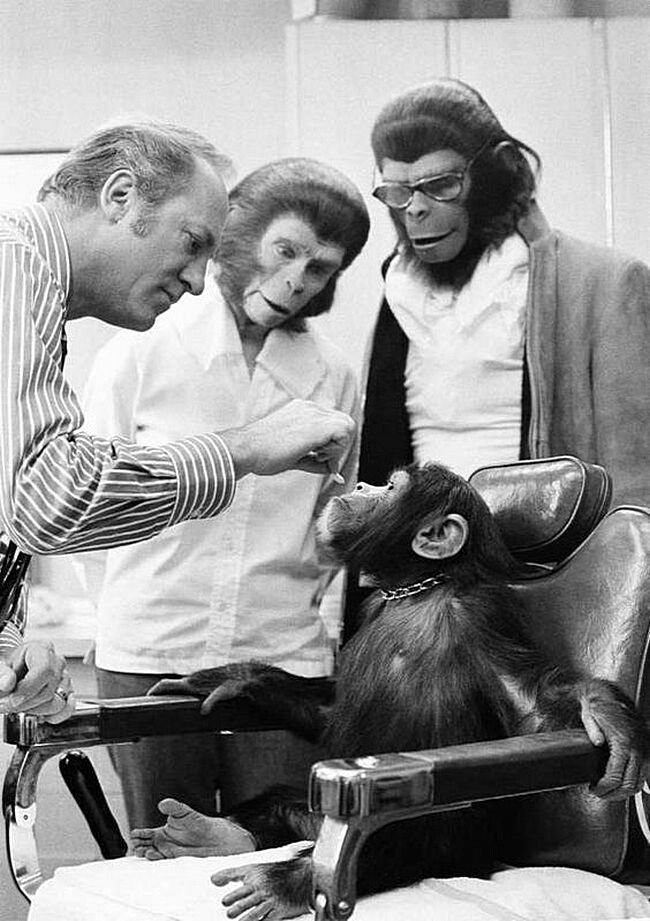 Настоящий шимпанзе Келли, гример фильма (слева) и актеры Ким Хантер и Родди Макдауэлл на съёмках "Планеты обезьян"в Голливуде 20 января 1971 года.