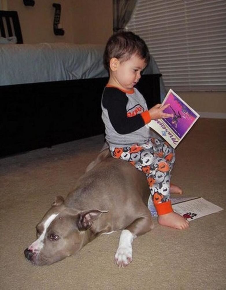 Ещё дети очень любят использовать своих животных в качестве подставок и подушек