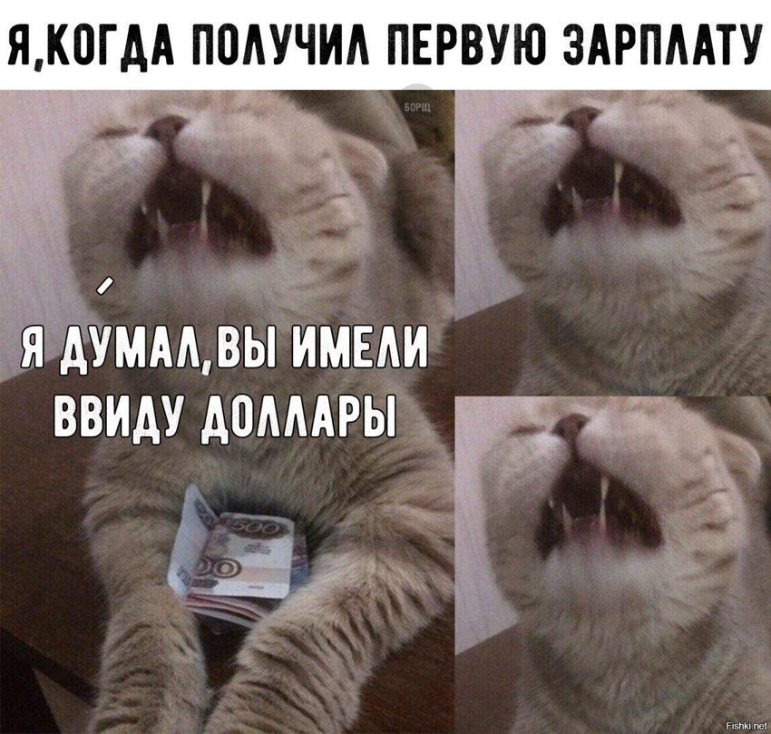 Надежда умирает последней