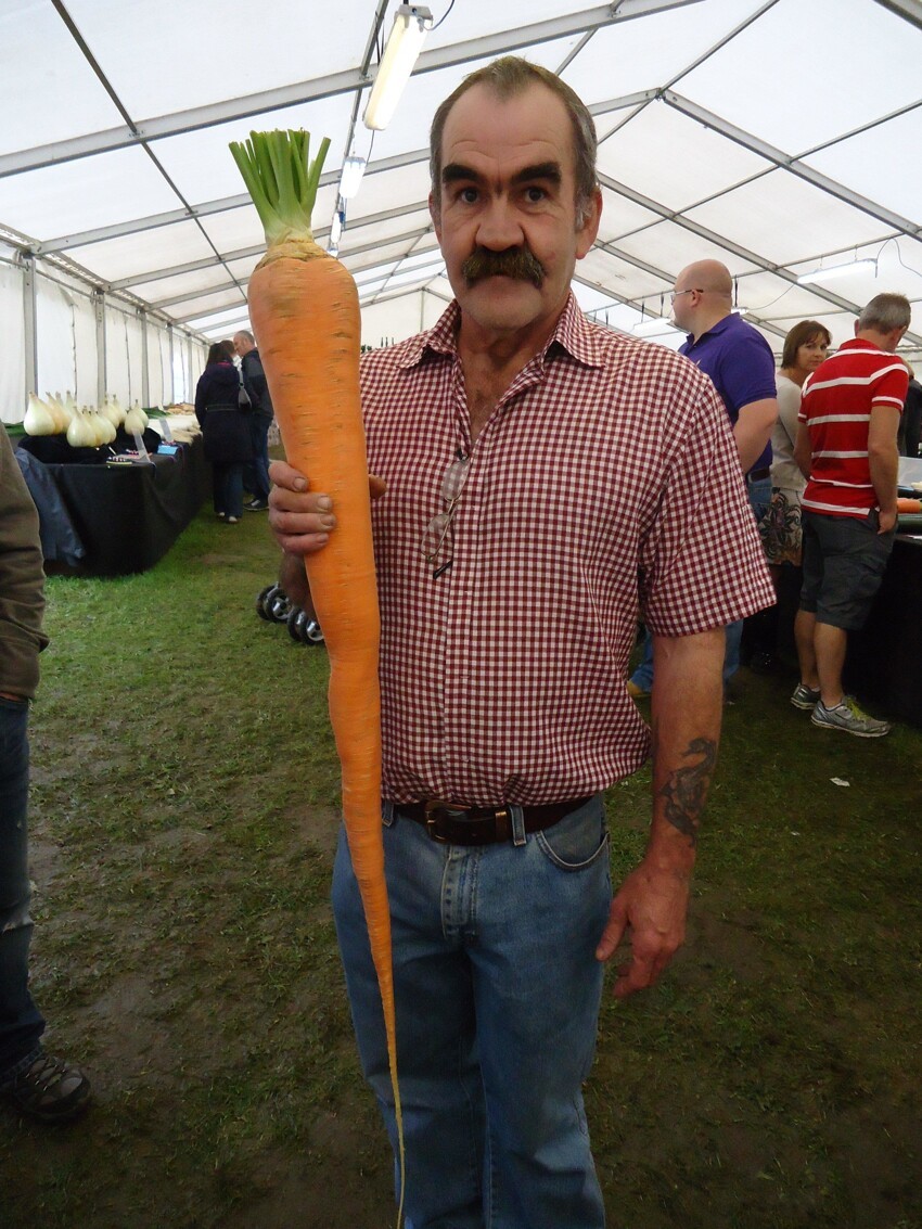 Морковка-гигант