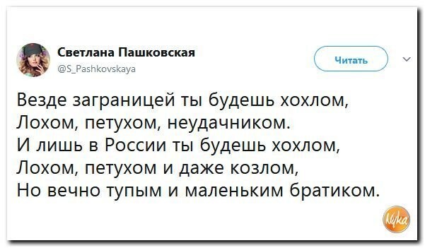 Политические коментарии соцсетей - 350