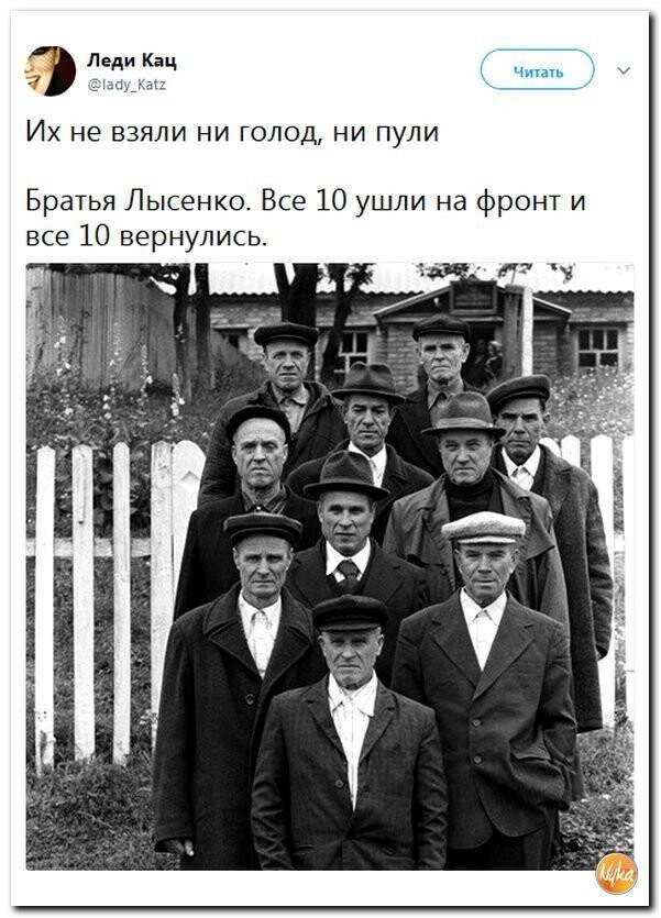 Политические коментарии соцсетей - 350