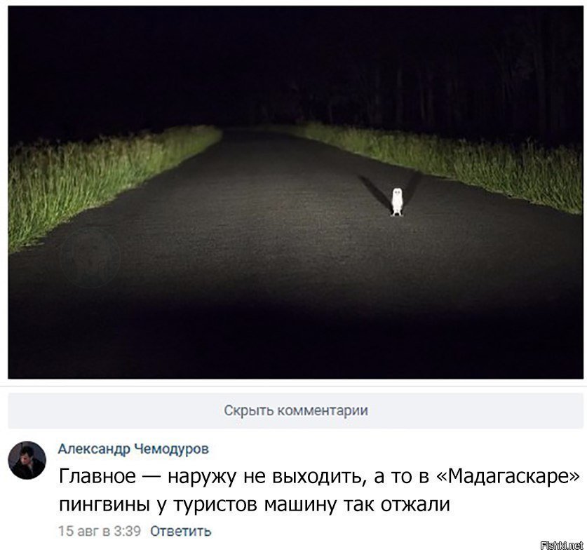 Мультики жизни учат