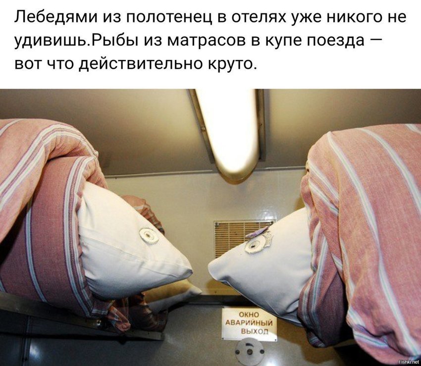 Лебеди в отеле фигня, вот рыбы из матросов это сильно