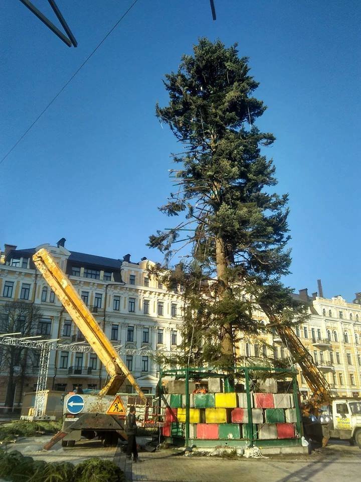 Рейтинг «самых ужасных» рождественских ёлок 