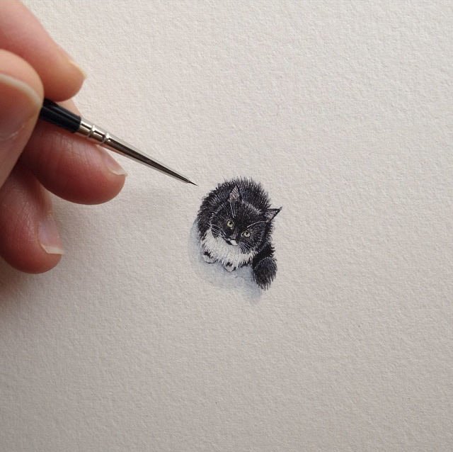 Крошечный кот