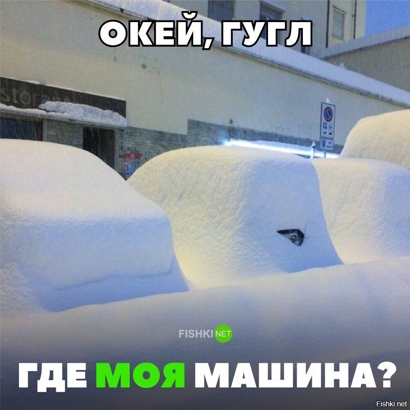 Где моя машина?