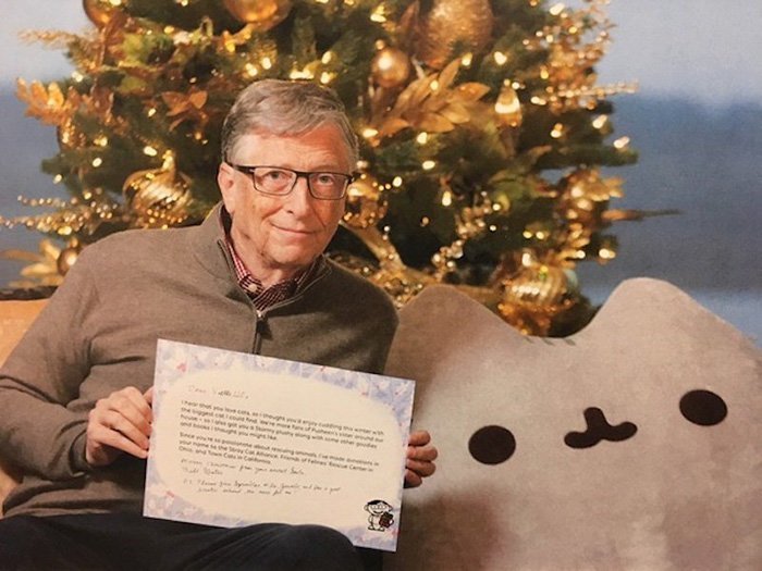 Билл Гейтс подарил 13-килограммового кота незнакомке с интернет-форума