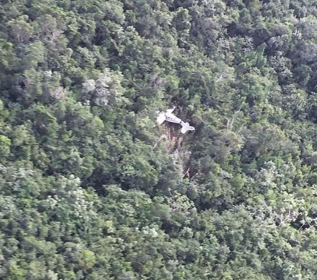 Британские туристы чудом избежали смерти, потерпев крушение в джунглях