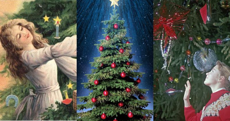 Интересные факты о рождественской елке: история, легенды и традиция