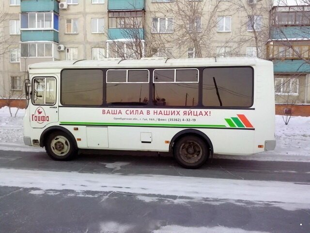 Автовсячина