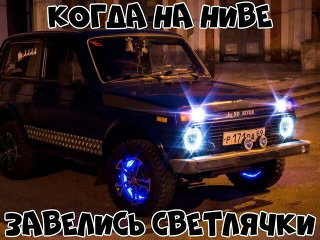 Автовсячина