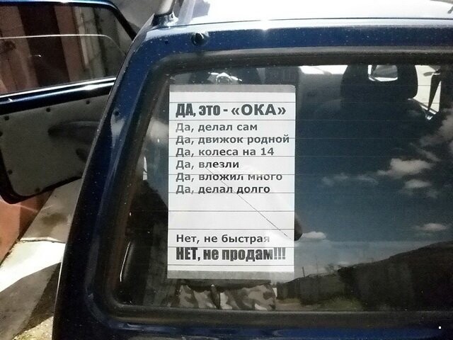 Автовсячина