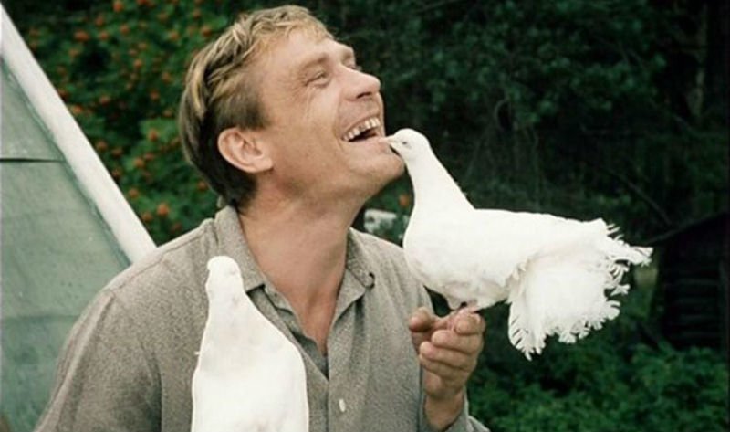«Любовь и голуби»: детали, факты и редкие кадры из фильма